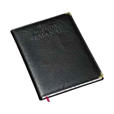Agenda Semanal Grande AG280